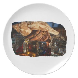 Hermit Crab on Ice Cubes plate