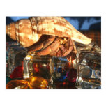 Hermit Crab on Ice Cubes Postcard