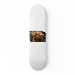 Hermit Crab on Ice Cubes Skate Board