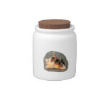Hermit Crab on Sand Coming out of shell Candy Dishes
