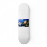 Hermit Crab Star Christmas Tree Design Skate Board
