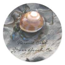 Hermit Crab stickers by ggbythebay Hermit Crab stickers