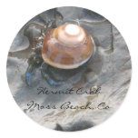 Hermit Crab Sticker