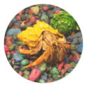 Hermit Crab Stickers 01