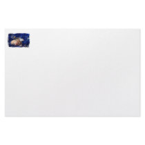 Hermit crab with blue Christmas Holiday tinsel Custom Stationery