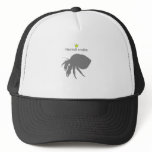 Hermit crabs g5 hats