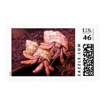Hermit Crabs Postage