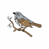 Hermit Thrush embroidered shirts