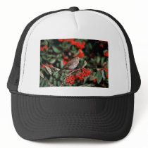 Hermit Thrush Trucker Hats