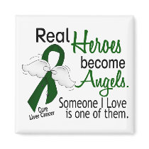 Heroes Become Angels Liver Cancer Fridge Magnets