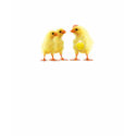 Heroic chicken t-shirts