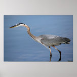 Heron 1 Print