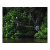 Heron  and Lazy River Poster Print