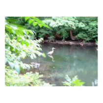 Heron at Fenway posters
