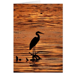 Heron at Sunset Birthday