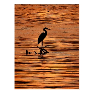 Heron at Sunset