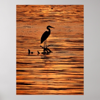 Heron at Sunset