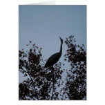 Heron bird in a tree cards