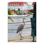 Heron cards