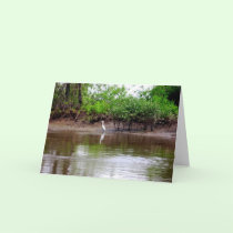 Heron cards