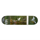Heron, Egret & Pelicans Skateboard.