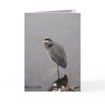 Heron Facing the Storm Card