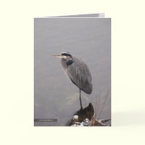 Heron Facing the Storm cards by MoiraAshleigh Heron Facing the Storm cards