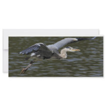 Heron Fly Past rack cards
