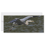 Heron Fly Past Rack Card