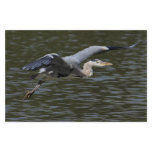Heron Fly Past Customized Stationery