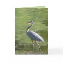 Heron Green cards by MoiraAshleigh Heron Green cards
