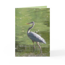 Heron Green cards by MoiraAshleigh Heron Green cards