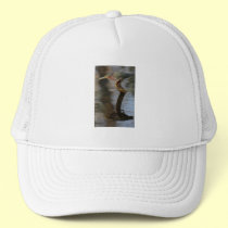 heron hats