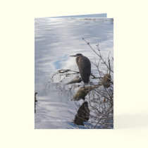 Heron in the Mirror cards