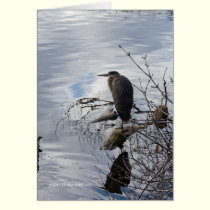 Heron in the Mirror cards
