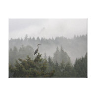 Heron in the Mist Gallery Wrap Canvas