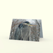 Heron in Winter cards by MoiraAshleigh Heron in Winter cards