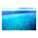 Heron Island Reef posters