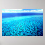 Heron Island Reef posters
