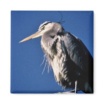 Heron Fridge Magnets