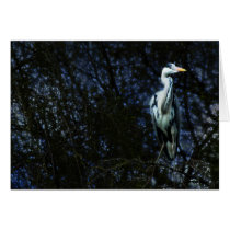 Heron of Haron Card by autregusto Heron of Haron Card