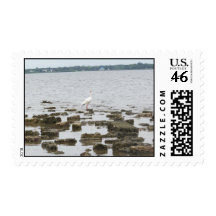 Heron on Shore Postage Stamp