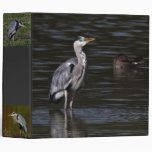 Heron Portrait Avery Binder