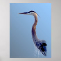 Heron Portrait Print