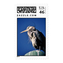 Heron Stamps