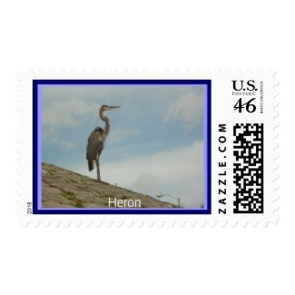 Heron