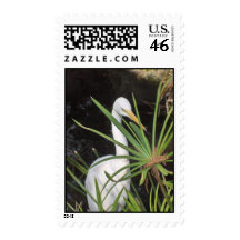 Heron Postage Stamp