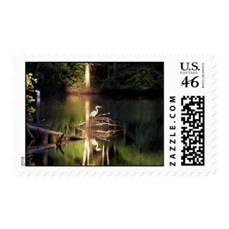 Heron Postage Stamps