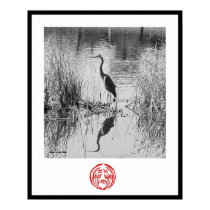 Heron posters by grnidlady Heron posters
