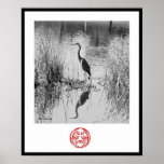 Heron posters